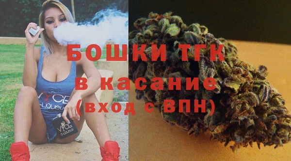 ГАЛЛЮЦИНОГЕННЫЕ ГРИБЫ Медногорск