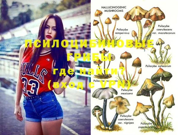 гидра Медвежьегорск