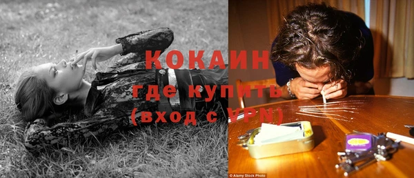 ГАЛЛЮЦИНОГЕННЫЕ ГРИБЫ Медногорск
