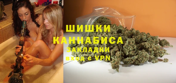 ГАЛЛЮЦИНОГЕННЫЕ ГРИБЫ Медногорск