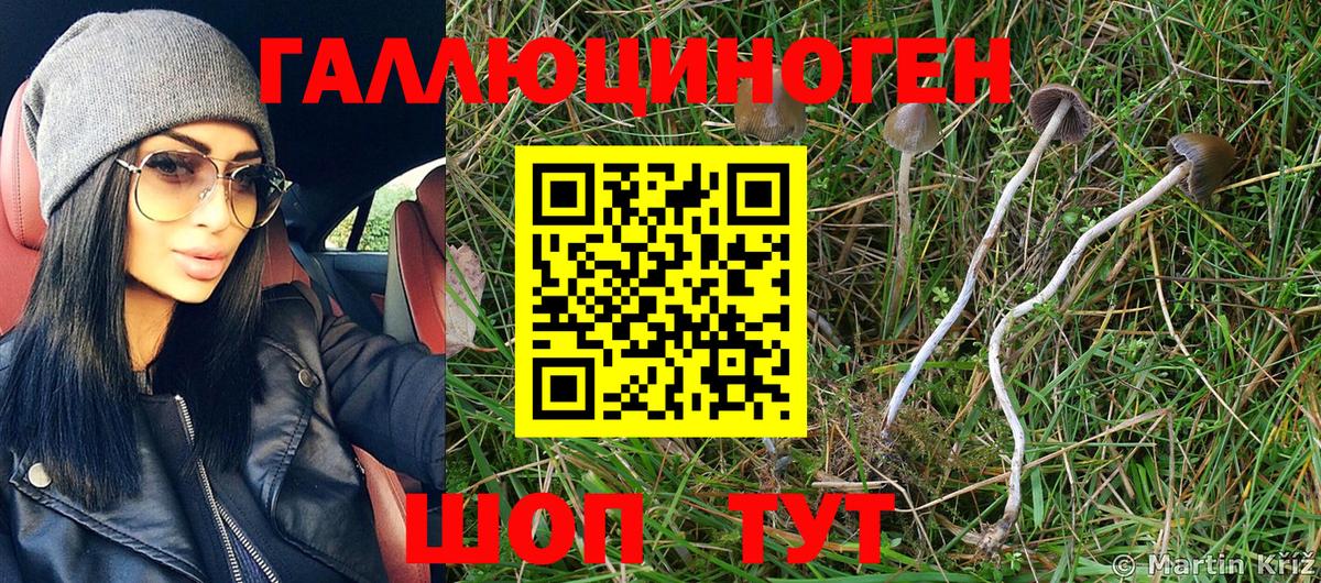 Псилоцибиновые грибы Cubensis Ставрополь