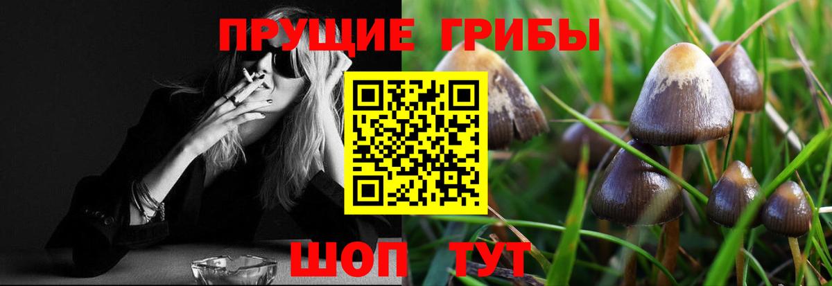 Ставрополь  где можно купить наркотик  Вход с VPN  Галлюциногенные грибы мицелий  Псилоцибиновые грибы прущие грибы 