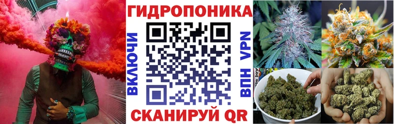 omg рабочий сайт  где найти наркотики  Ставрополь  Шишки марихуана семена 